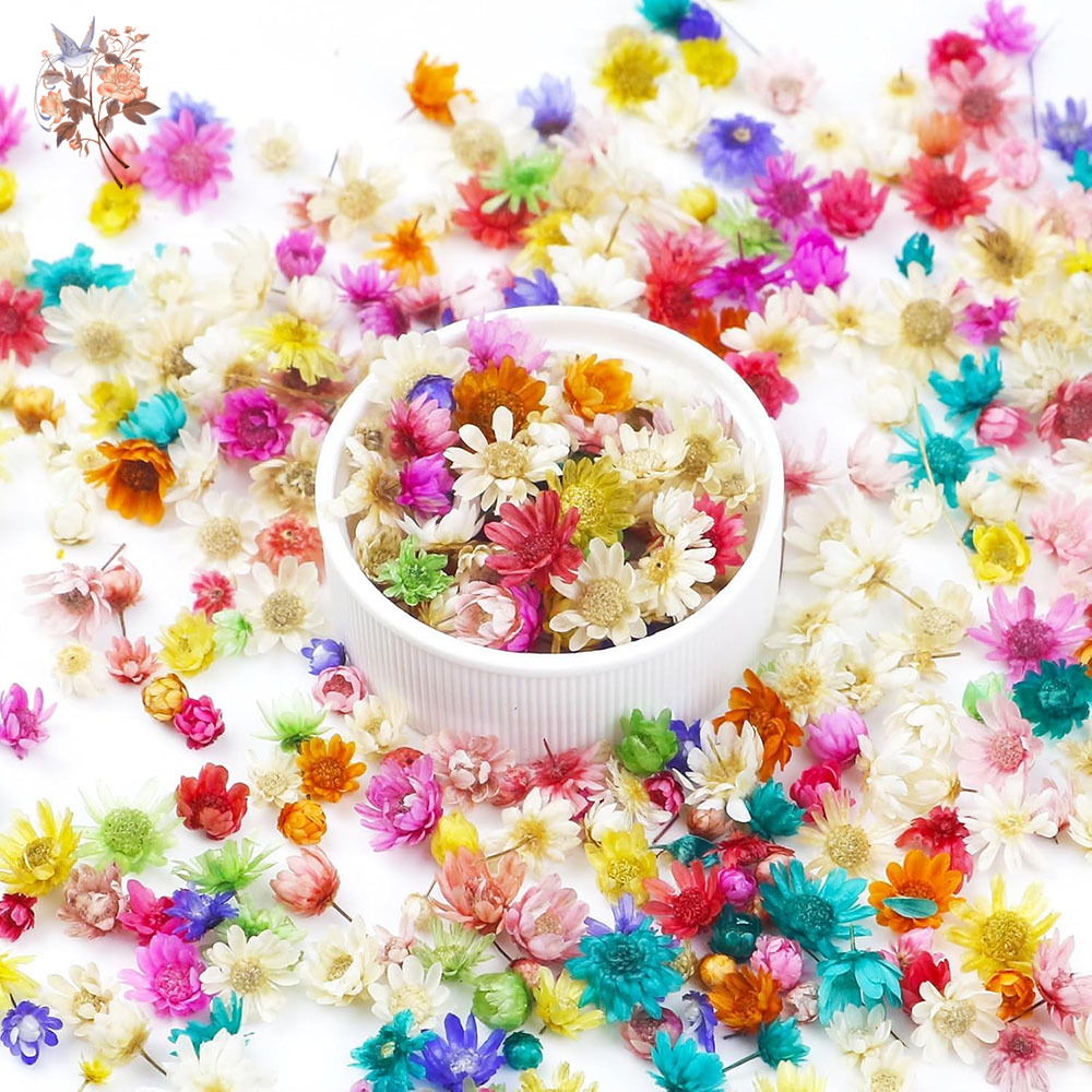 Your Candle Supplies - 400 unidades de flores secas en
