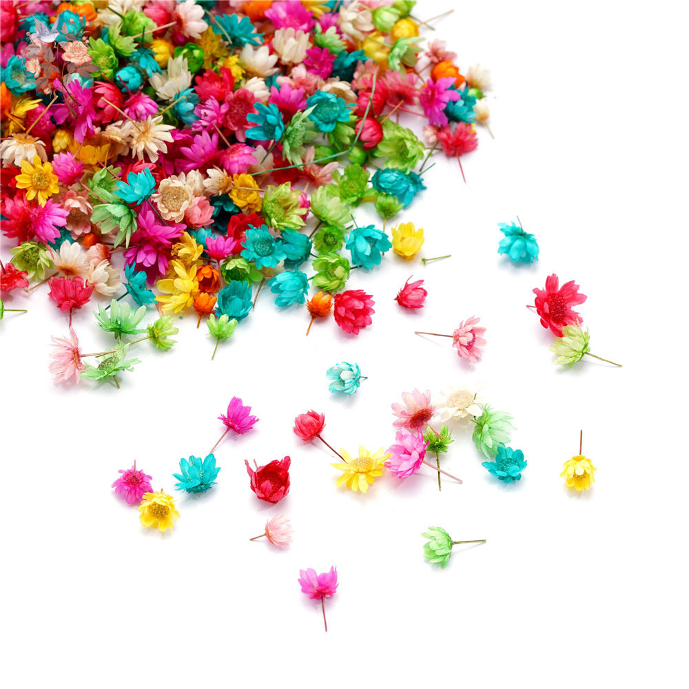 400 unidades de flores secas e - Your Candle Supplies reseña y precio
