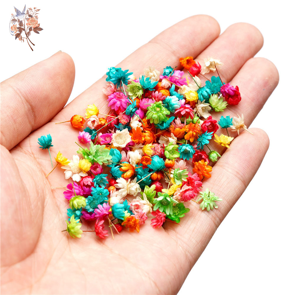 400 unidades de flores secas e - Your Candle Supplies reseña y precio