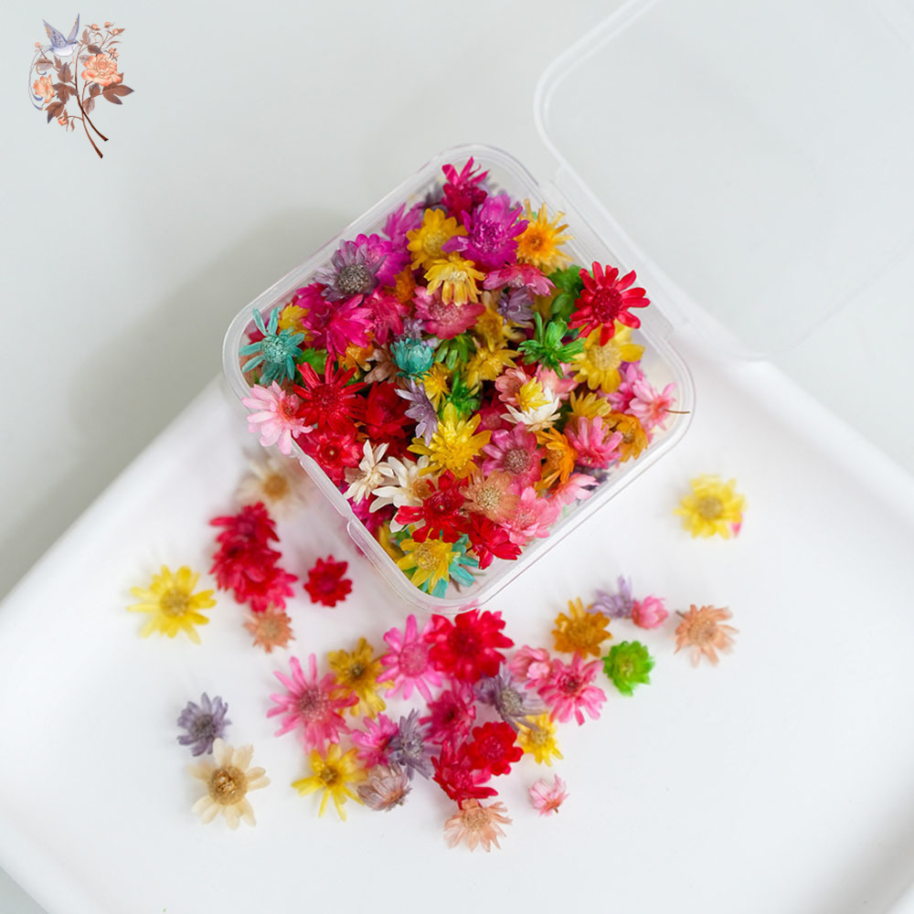 400 unidades de flores secas e - Your Candle Supplies reseña y precio